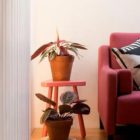 Patio São Vicente * Lisboa